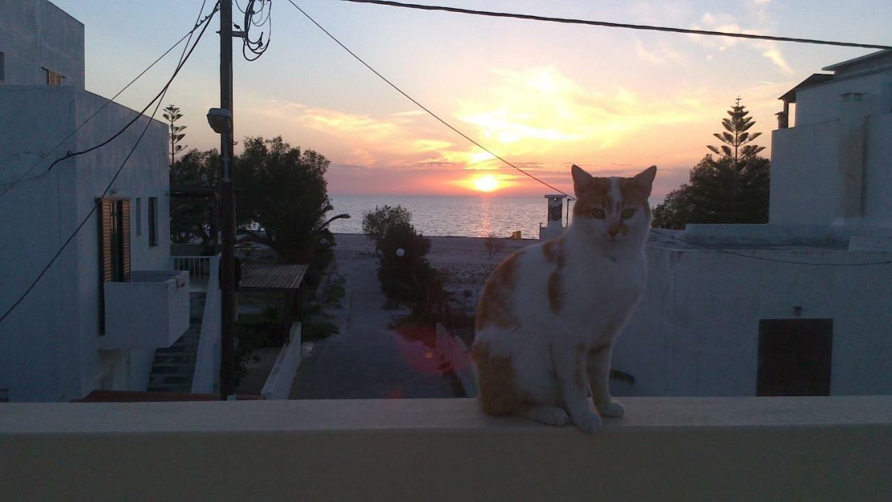 Holiday Dream Thalia Apartment Μαστιχάρι Εξωτερικό φωτογραφία